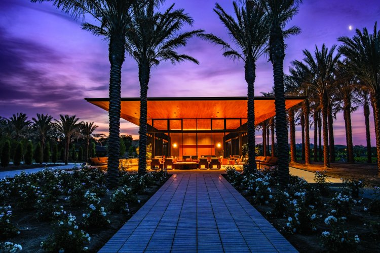 Image of Caymus-Suisun Winery | Music Under the Palms –  Georgetowne