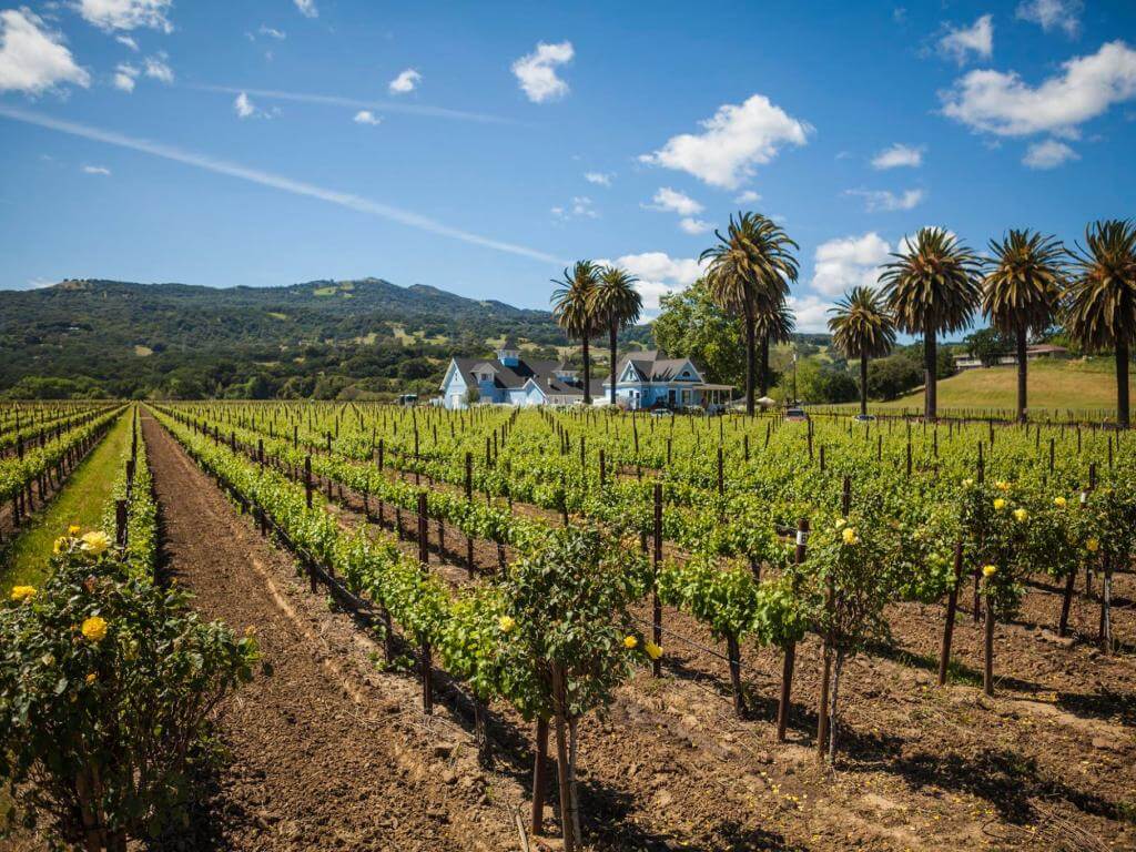 Visit California says Solano County is a ‘best kept secret’