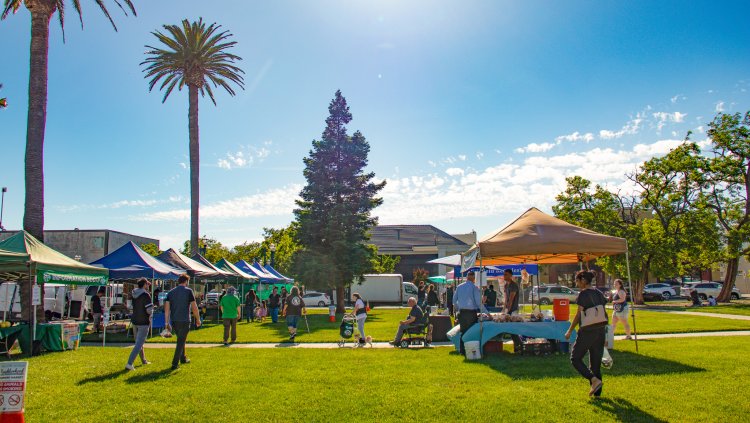 Outdoor market with tents and visitors