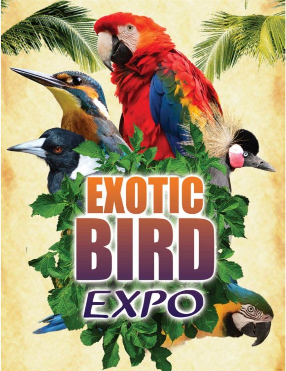 Image of Exotic Bird Expo
