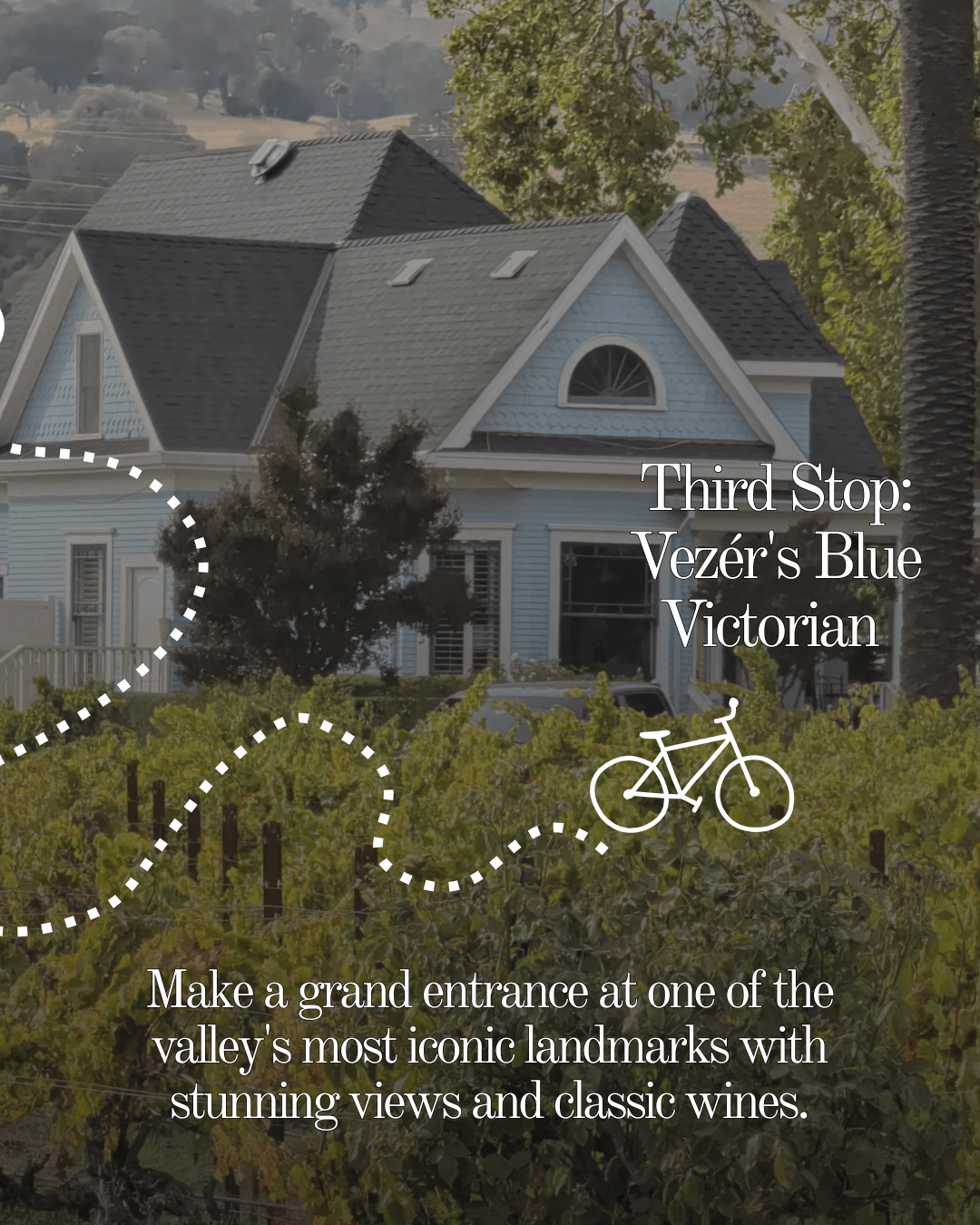 The Ultimate Suisun Valley Vine Hopper Itinerary: A Tandem Bike Adventure The Ultimate Suisun Valley Vine Hopper Itinerary: A Tandem Bike Adventure