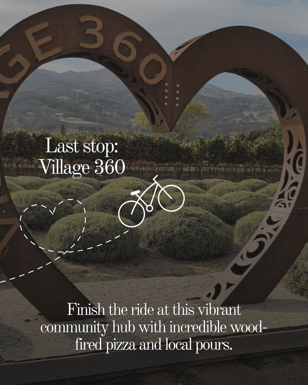 The Ultimate Suisun Valley Vine Hopper Itinerary: A Tandem Bike Adventure The Ultimate Suisun Valley Vine Hopper Itinerary: A Tandem Bike Adventure