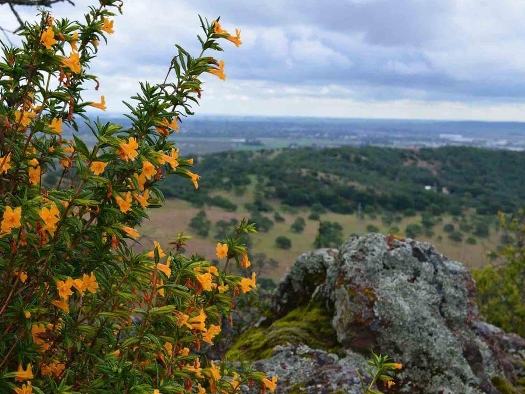 Best Scenic Views in Fairfield and Suisun