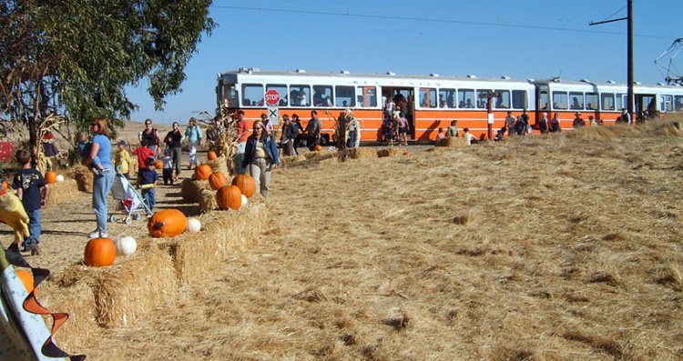 Image of Pumpkin Patch Festival