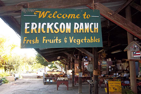 Image of Erickson Ranch Jams