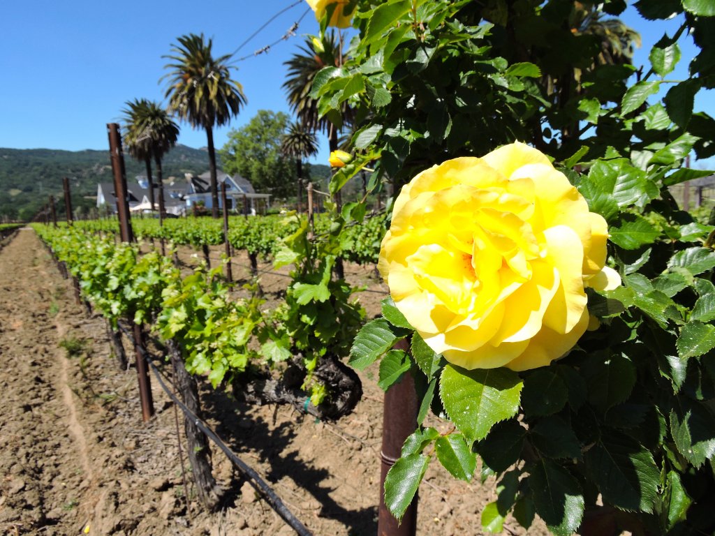 fairfield-california-history-and-location
