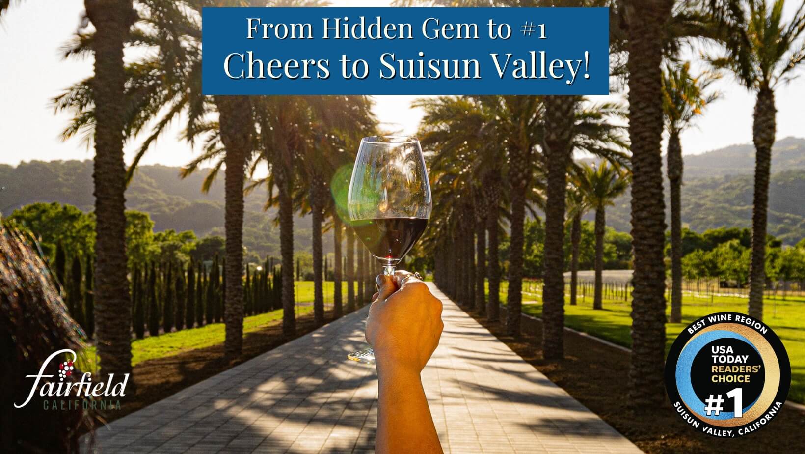 🥇 From Hidden Gem to #1: Suisun Valley Named Best Wine Region in the U.S.