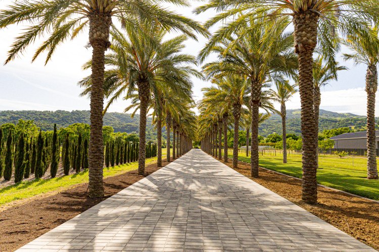 Image of Caymus-Suisun Winery Luau– An Island-Inspired Experience
