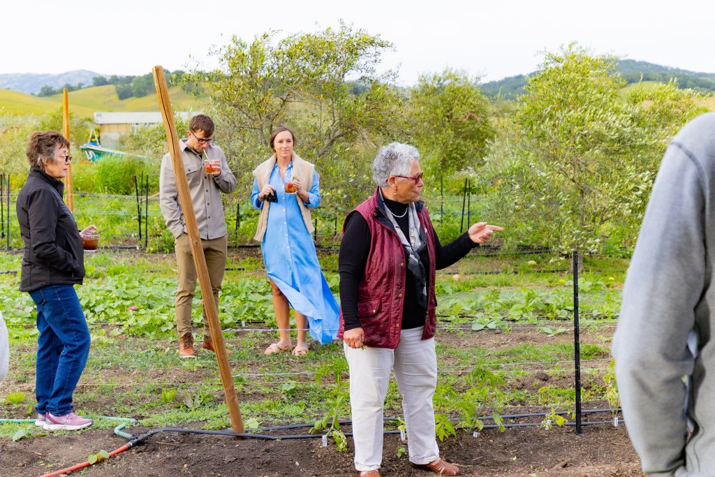 Award-Winning Flavor: IL Fiorello Olive Oil Company Ranked Among the Best in the World