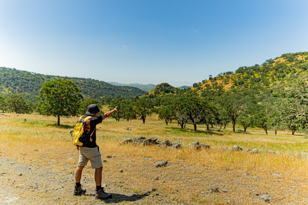 a man pointing at a field of trees