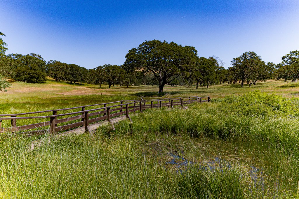 a wooden bridge in a grassy field