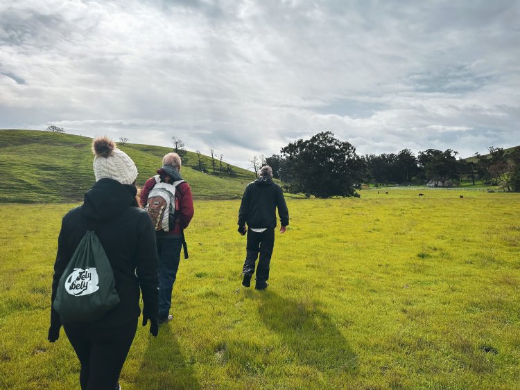 Image of Nature Hike at Vallejo Swett