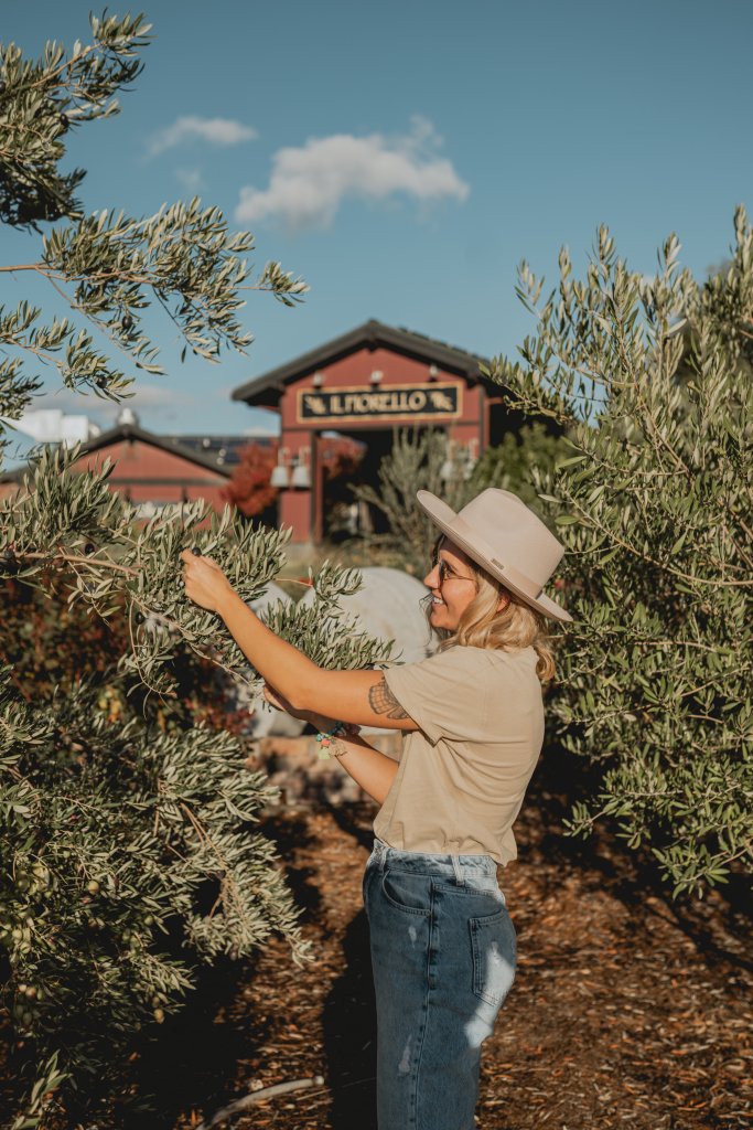 Award-Winning Flavor: IL Fiorello Olive Oil Company Ranked Among the Best in the World