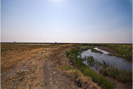 Image of Grizzly Island Wildlife Area