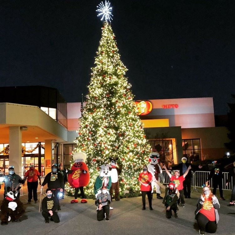 Image of 24th Annual Tree Lighting Celebration at Jelly Belly