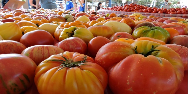 Image of 33rd Annual Fairfield Tomato and Vine Festival
