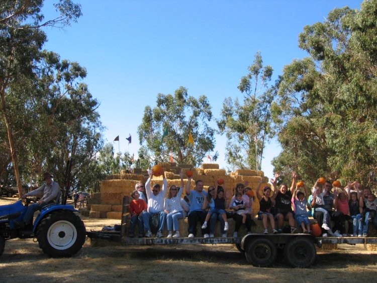 Image of Pumpkin Patch Festival at Western Railway Museum