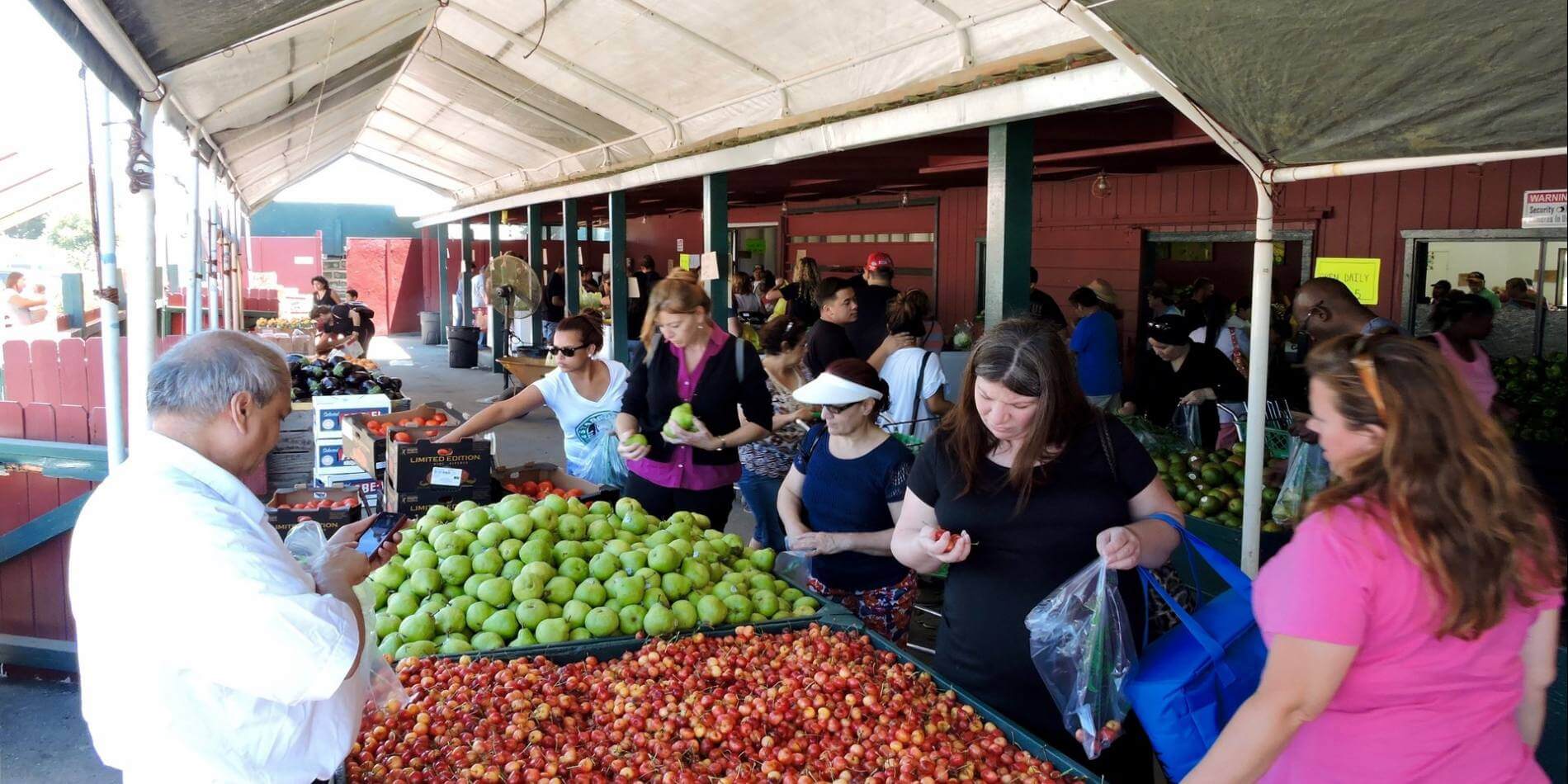 Experience the Fairfield Farmers Market for the Freshest Produce