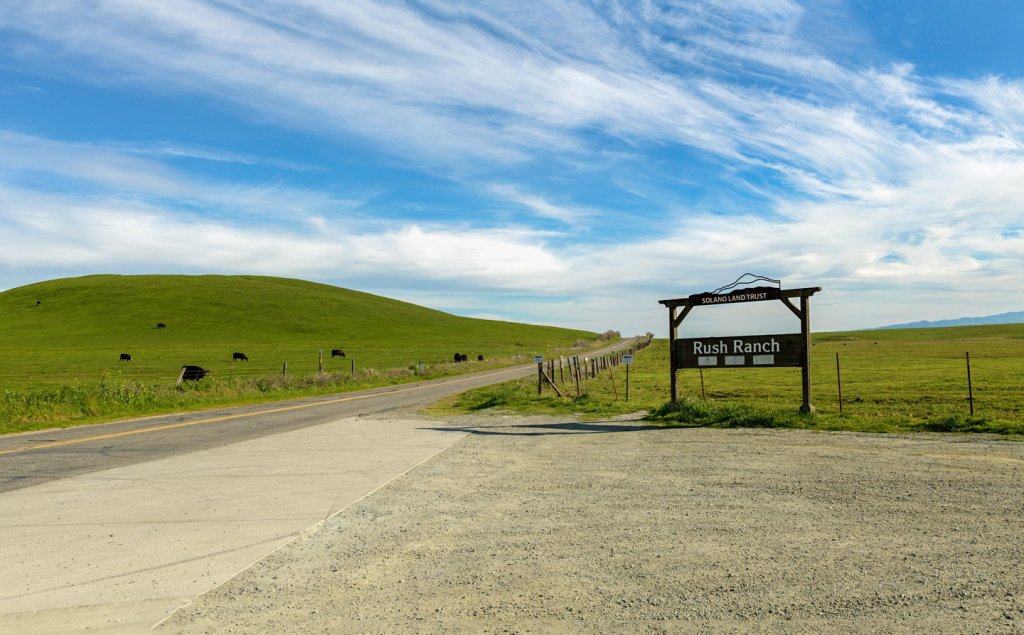 Picnic Spot Ideas in Fairfield, CA