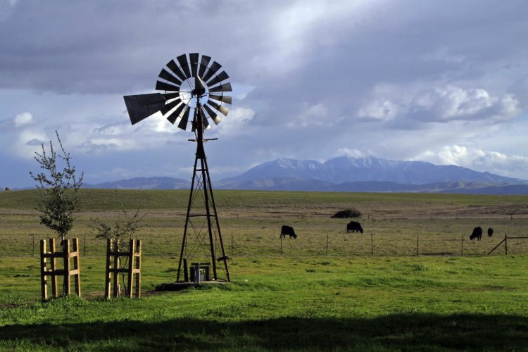 Image of Astronomy Night at Rush Ranch