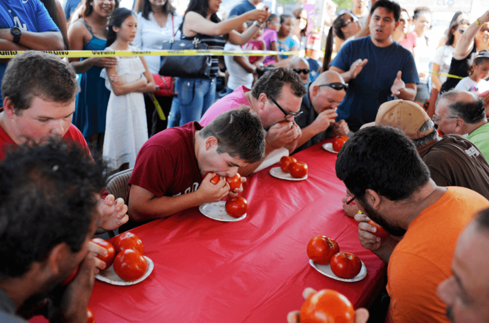 28th Annual Tomato & Vine Festival Returns Aug. 17-18