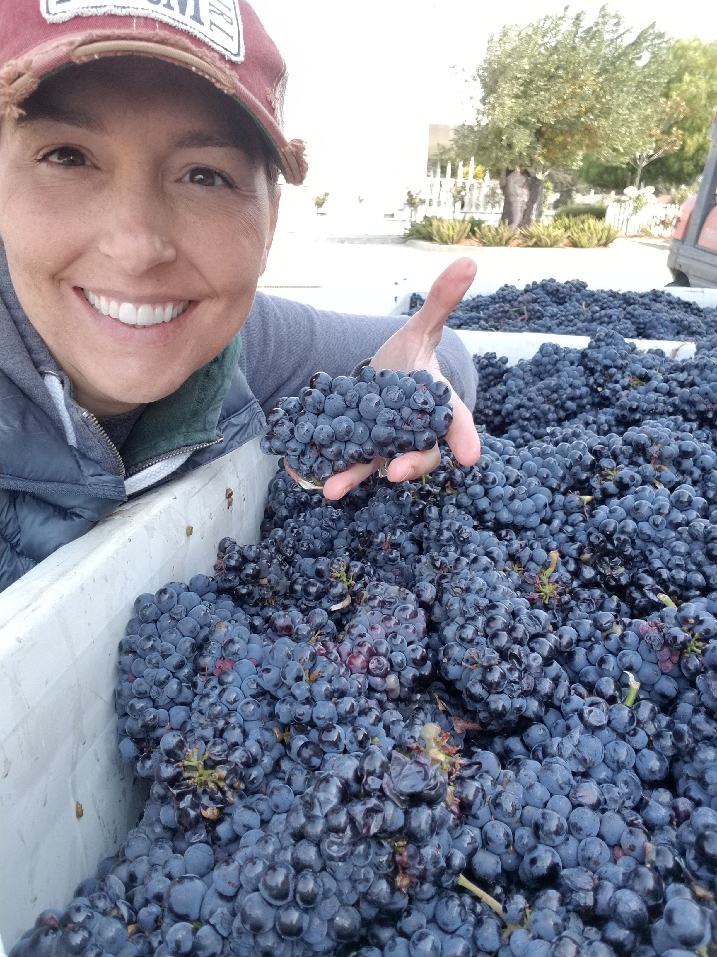 Suisun Valley winemaker earns gold in International Women's Wine Competition