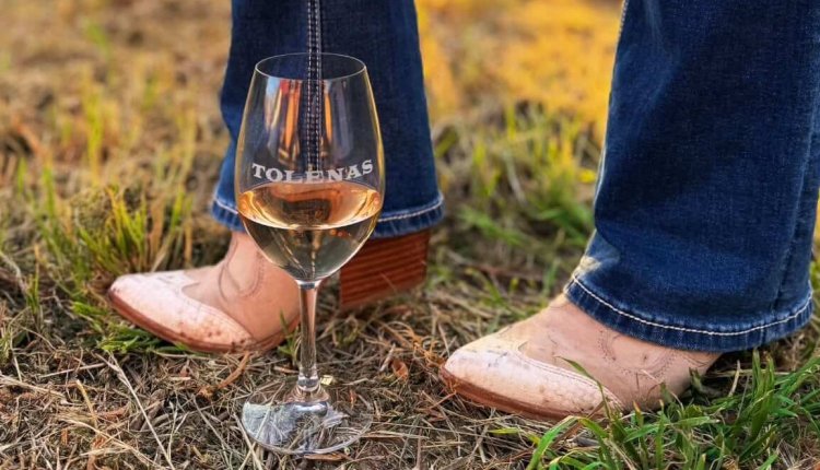 Image of Line Dancing Nights at Tolenas Winery