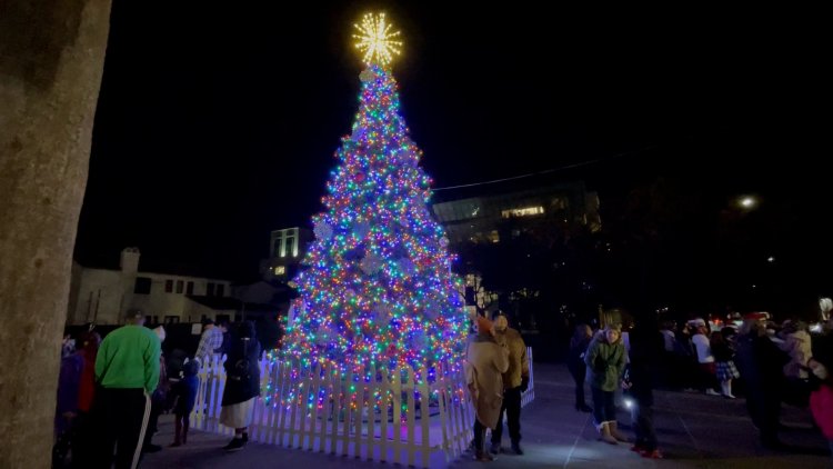 Image of Downtown Tree Lighting