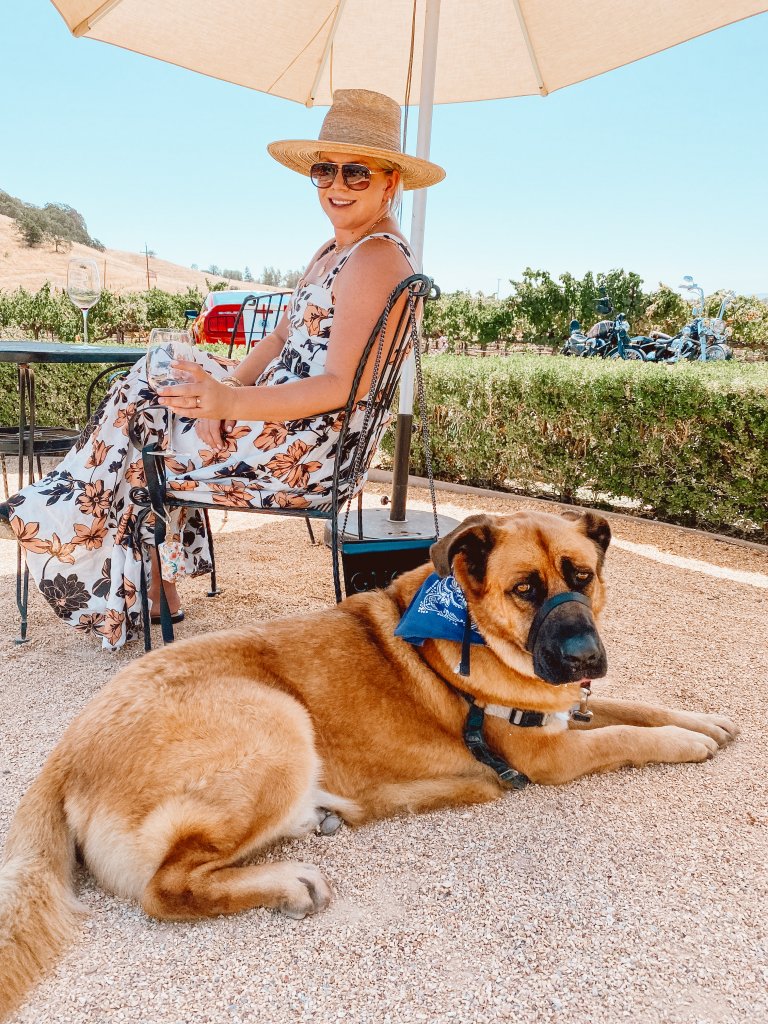 A woman wine tasting with her dog at the Blue Victorian Winery